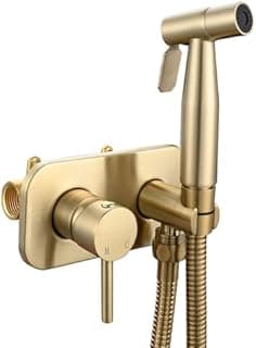 Tecmolog Bidet portable pour WC Acciaio Inossidabile Ensemble de vaporisateur à main chaude et froide Doré brossé WS024J2F2
