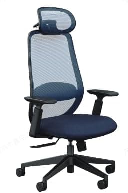 ProtoArc EC200 Chaise de Bureau Ergonomique pour la Maiso…