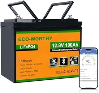Eco-Worthy LiFePO4 100Ah Bluetooth, Lithium Battery 12V 1…