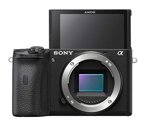 Sony Alpha 6600 | Appareil Photo Numérique Hybride APS-C ( 24,2 MP, AF en 0.02s, Suivi des Yeux, stabilisation interne 5 axes, 4K HLG, Ecran Selfie Vlogging, Batterie Haute Capacité ) - 8