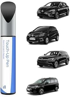 PARTS4EV GNE Noir Etoile Nacre Touch Up Paint for Renault Exact Match - Scratch and Chip Repair - 1