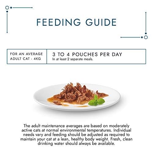 GOURMET Perle Chef's Collection Mini Fillets in Gravy Wet Cat Food 96x85g - 5