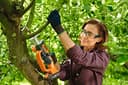 Worx WG894E 20V Cordless Sabre Saw, Up to 60 mm in Wood, 16 mm Stroke, Multi-Material, Cuts Wood and Steel, Compact and Light, with 1 x 2Ah Battery, Charger and 3 Blades - 6