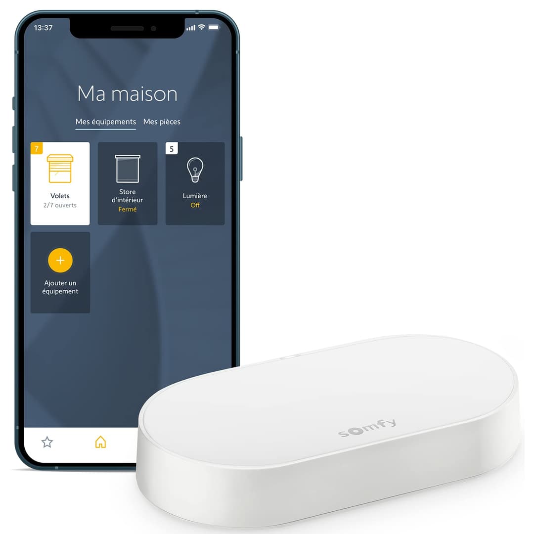 Somfy 1870755 Connectivity Kit, Control of Somfy Motors and Lighting, Compatible with io & RTS Motors, Voice Control via Google Assistant, Amazon Alexa, HomeKit