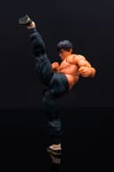 FEI LONG STREET FIGHTER 6" DELUXE COLLECTOR FIGURE - 3