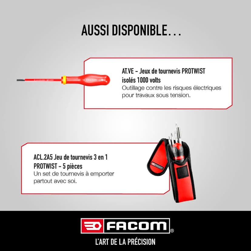FACOM - Screwdriver Set - ATW.J10PB - 6