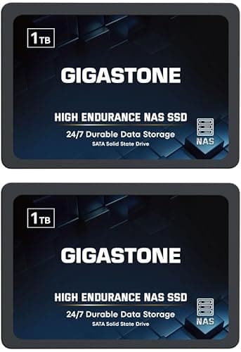 Gigastone Certifié NAS 1To NAS SSD Disque (Lot de 2) 24 h/24, 7 j/7 Durable TLC Endurance élevée Raid Synchro sécurisée des données Cache de Stockage en réseau 2,5 Pouces SATA Disque Dur ssd Interne