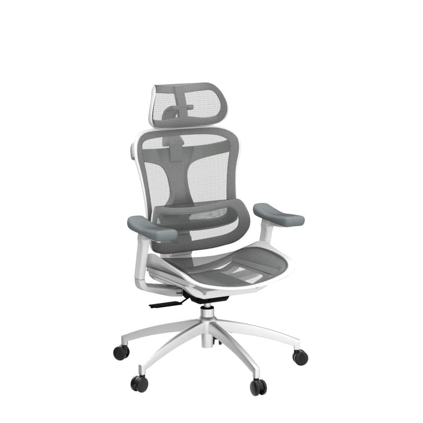 SIHOO Doro C300 Ergonomic Office Chair with Ultra Soft 3D Armrests, Dynamic Lumbar Support for Home Office Chair, Adjustable Backrest Desk Chair (White) - 4