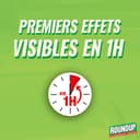 ROUNDUP Désherbant Concentré Cours, Allées & Terrasses – Format Économique 800ml – Action 2-en-1 Mauvaises Herbes & Mousses – Effets dès 1h - 5