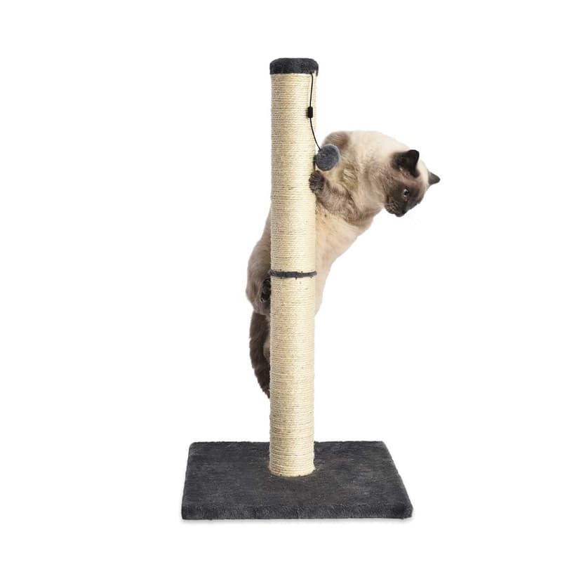 Amazon Basics Cat Scratching Post for Indoor Cats, Standard with Dangling Toy, 80 cm, Grey - 4