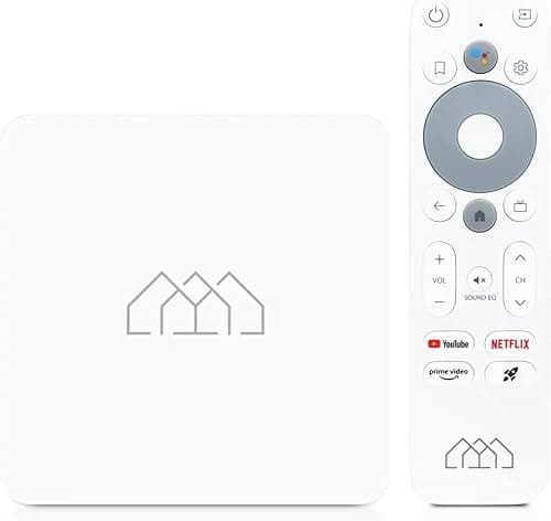 AB-COM Homatics Box R Lite 4K Smart TV Media Player Media-Streaming-Client Android TV 11 Flash eMMC 16GB Bluetooth 5 100 Mbps Fast Ethernet LAN Port Chromecast 4K Ultra HD AV1
