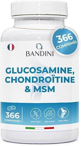 Bandini® Glucosamine Chondroitin + MSM & Vitamin C | 366 …