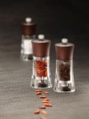 PEUGEOT - Moulin à Poivre Oléron 14 cm - Réglage Classique - En Bois Labellisé PEFC Et Acryl - Fabrication Française - Coloris Chocolat Et Transparent - 4