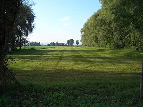 Parmigiano Reggiano (Parmesan cheese) PDO aged 36 months - 7