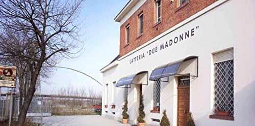 Parmigiano Reggiano (Parmesan cheese) PDO aged 36 months - 4