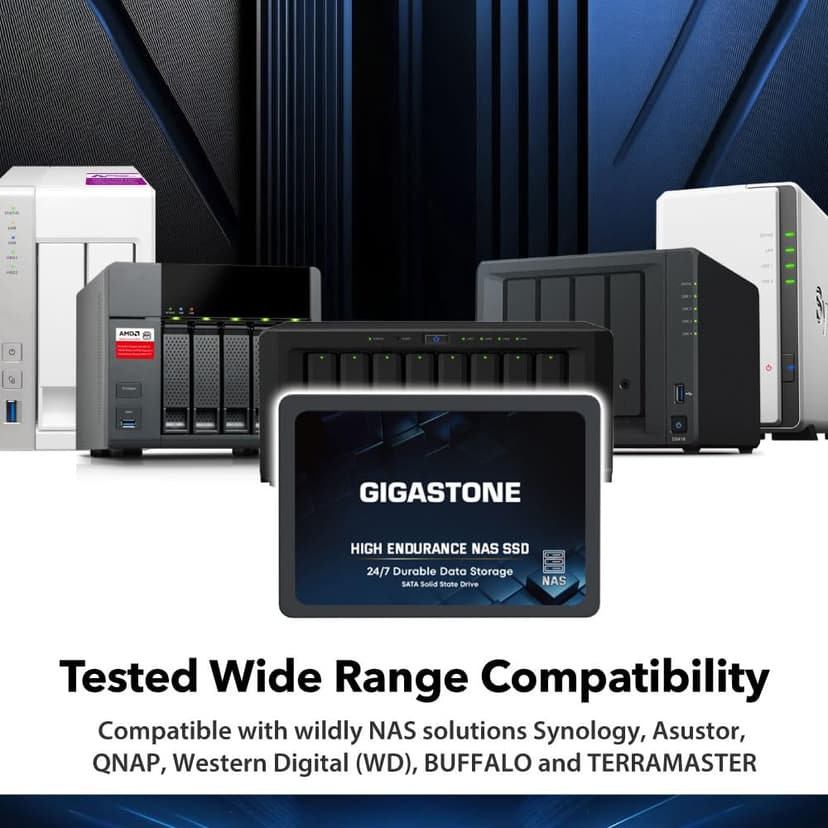 Gigastone Certifié NAS 1To NAS SSD Disque (Lot de 2) 24 h/24, 7 j/7 Durable TLC Endurance élevée Raid Synchro sécurisée des données Cache de Stockage en réseau 2,5 Pouces SATA Disque Dur ssd Interne - 8