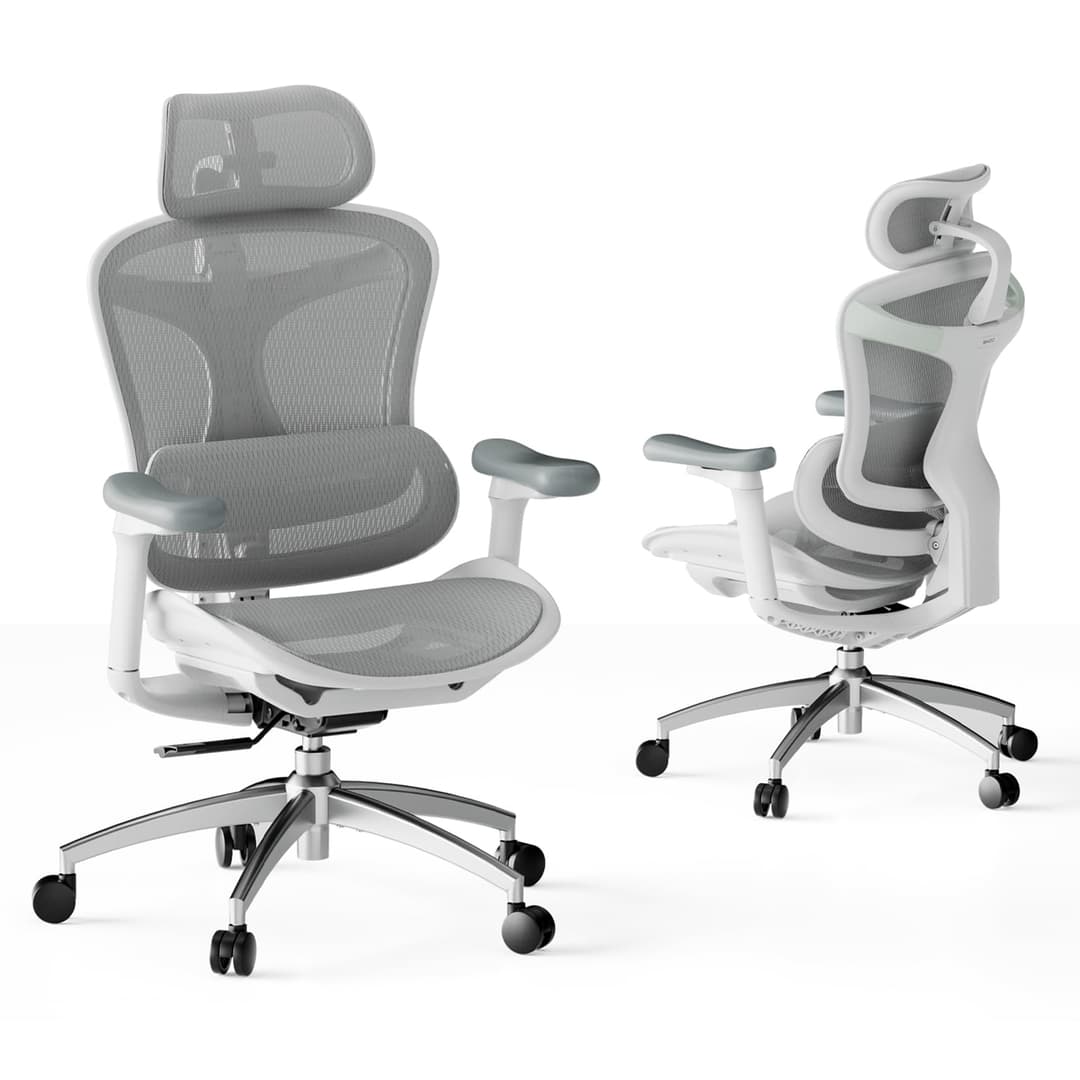 SIHOO Doro C300 Chaise de Bureau Ergonomique avec Accoudoirs Ultra Doux en 3D, Soutien Lombaire Dynamique pour Chaise Bureau à Domicile, Fauteuil de Bureau avec Dossier réglable(Grigio)