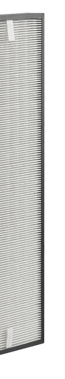 Tefal xd6070 °F0 HEPA Filter - 3