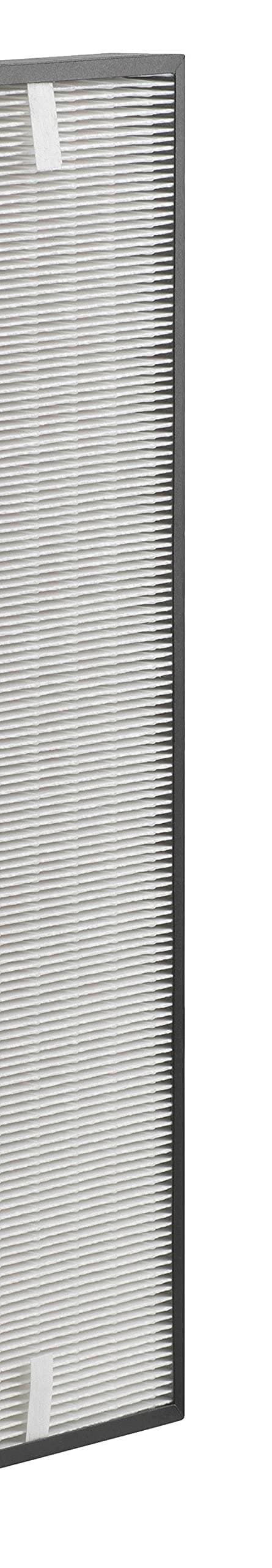 Tefal xd6070 °F0 HEPA Filter - 3