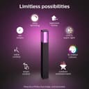 Philips Hue Impress White and Colour Ambiance Pedestal [UK Version - Black] Low Voltage. For Outdoor Lighting, Patio, Terrace, Garden. - 2