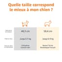 Amazon Basics Hard-Sided Cat Carrier, Two-Door Top-Load Pet Dog/Cat Travel Box Carrier, Blue, 58 L x 38 W x 33 H cm - 3