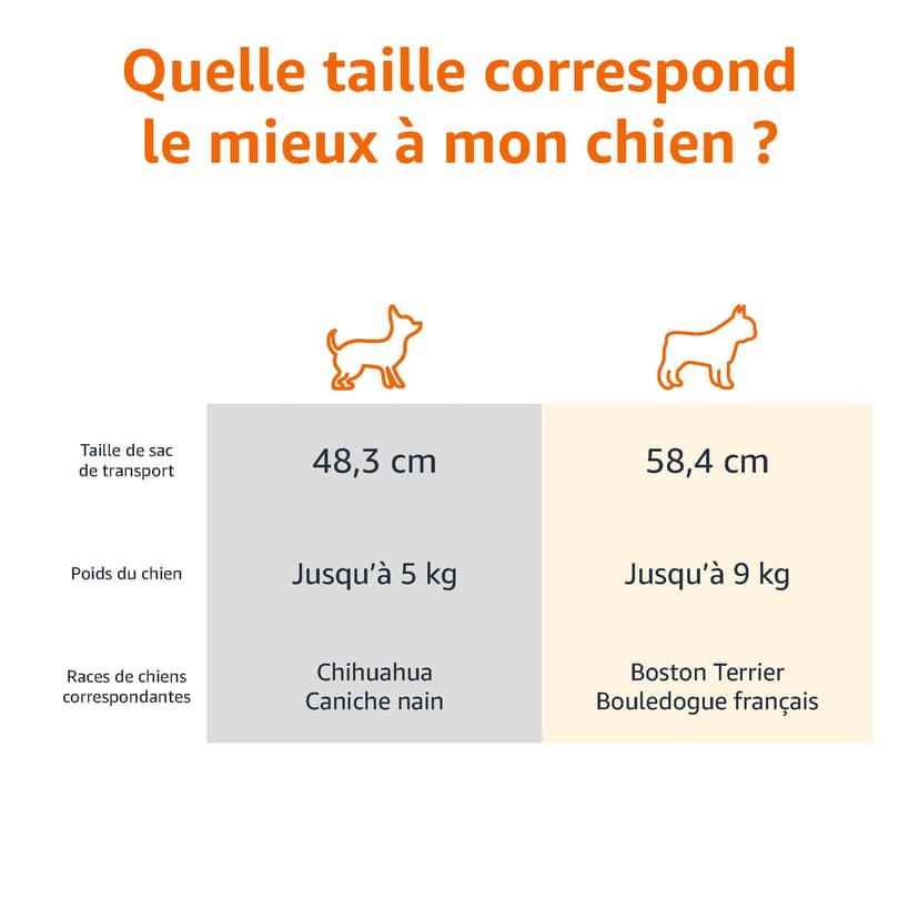 Amazon Basics Hard-Sided Cat Carrier, Two-Door Top-Load Pet Dog/Cat Travel Box Carrier, Blue, 58 L x 38 W x 33 H cm - 3