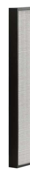 Tefal xd6070 °F0 HEPA Filter - 2