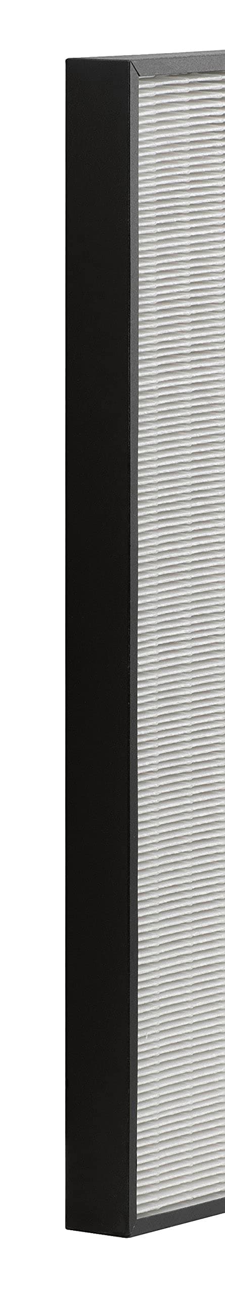 Tefal xd6070 °F0 HEPA Filter - 2