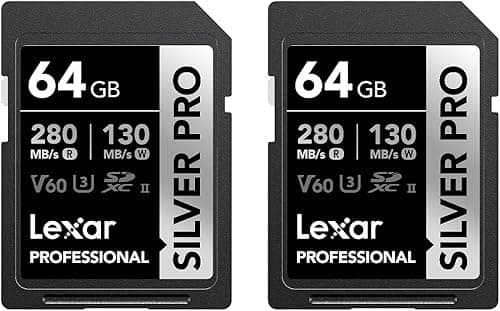 Lexar Silver Pro Carte SD 2x64Go, Carte mémoire SD UHS-II, V60, U3, C10, Jusqu'à 280Mo/s en Lecture, 130Mo/s en écriture, Carte SDXC pour DSLR/caméra/Photographe/vidéaste/passionné(LSDSIPR064G-B2NAA)