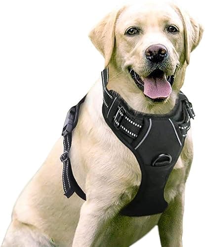 rabbitgoo Dog Harness Large Dog No Pull Pet Harness with 2 Leash Clips, Adjustable Soft Padded Pet Vest, Reflective No-Choke with Easy Control Handle for Training or Walking, Black, L