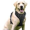 rabbitgoo Dog Harness Large Dog No Pull Pet Harness with 2 Leash Clips, Adjustable Soft Padded Pet Vest, Reflective No-Choke with Easy Control Handle for Training or Walking, Black, L - 1