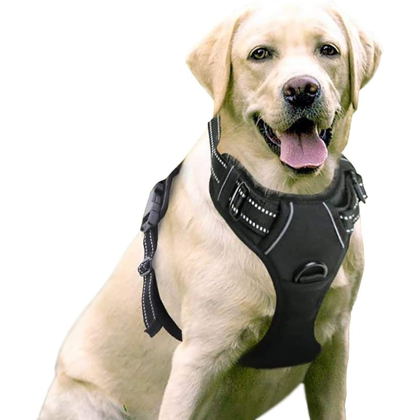 rabbitgoo Dog Harness Large Dog No Pull Pet Harness with 2 Leash Clips, Adjustable Soft Padded Pet Vest, Reflective No-Choke with Easy Control Handle for Training or Walking, Black, L - 1