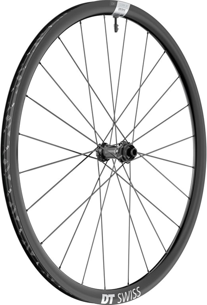 DT Swiss E 1800 Spline 30 Front Wheel - 650b, 12 x 100mm, Center-Lock, Black - 1