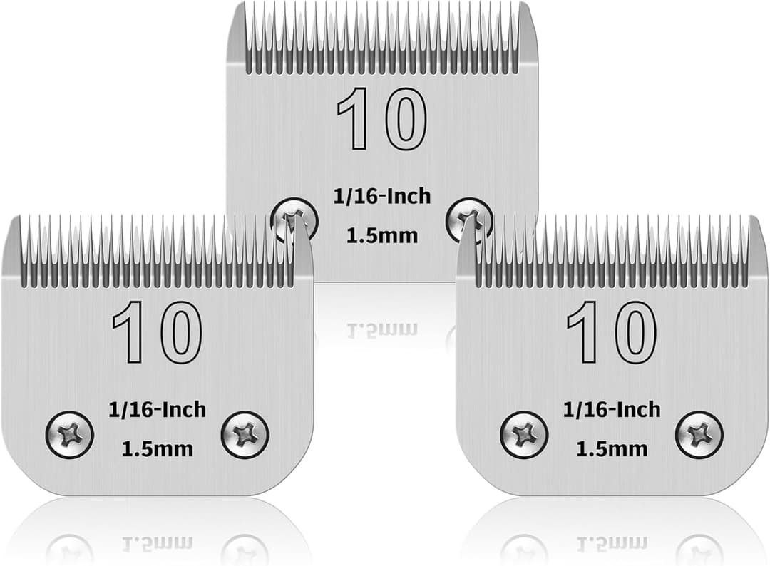 3 Pcs Pet Dog Grooming Detachable Stainless Steel Blades 10# Compatible with Oster A5/Heiniger/Moser, Blade #10, Cutting Length 1/16 Inch, 1.5mm