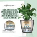 Lechuza Self Watering Plant Pot CLASSICO 43 LS Garden Flower Indoor and Outdoor Plastic Planter with Drainage Hole D43 H40 cm Red High-Gloss - 3