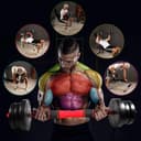 CCLIFE Haltère réglable, Haltères Musculation 20/25/30/40KG pour Adaptés au Fitness à Domicile et à la Musculation-ZERRO - 5
