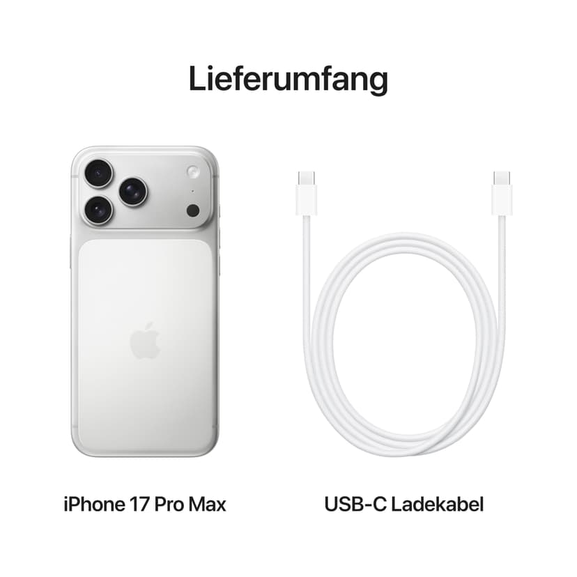 Apple iPhone 17 Pro Max 256GB: 6.9-inch display with ProMotion, A19 Pro chip, Record battery life on iPhone, Pro Fusion camera system, Center Stage front camera; Silver - 6
