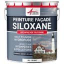 Siloxane facade paint, water resistant – durable up to 15 years – renovation facade, polishing wall – Arcafacade Siloxane – white (Ral 9003) – 10 l (+ or 60 m2 in 1 layer) – Arcane Industry - 1