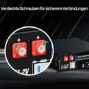 ECO-WORTHY Batterie Lithium 48V 100Ah*3 Bluetooth avec BMS 100A, LiFePO4 15,36kWh 3U pour Rack de Serveur avec Prise en Charge Can&RS485 pour système Solaire Complet, système photovoltaïque - 8