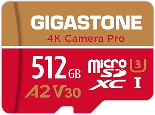 [5 Ans Récupération de données Gratuite] GIGASTONE Carte …