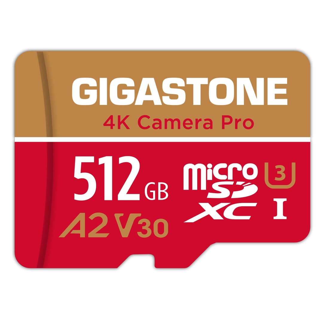 [5 Ans Récupération de données Gratuite] GIGASTONE Carte …