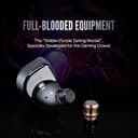 Linsoul SIMGOT EW300 Ecouteurs Intra-Auriculaires 1DD+1Planar+1PZT Hybrid Driver, Écouteurs filaires IEM, Ecouteurs Gaming avec Embouts détachables, câble IEM OFC plaqué Argent (EW300 DSP, avec MIC) - 8