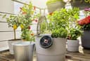Ensemble d’arrosage solaire Gardena AquaBloom : Système d’arrosage fonctionnant à l’énergie solaire pour plantes de balcon et en pot, jusqu’à 4 m de hauteur, quelle que soit la saison (13300-20) - 4