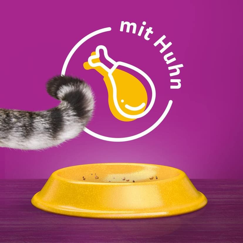 Whiskas Senior Cat Food Dry Food for Older Cats From 7 Years (6 x 1,9 kg) - 9