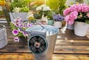 Ensemble d’arrosage solaire Gardena AquaBloom : Système d’arrosage fonctionnant à l’énergie solaire pour plantes de balcon et en pot, jusqu’à 4 m de hauteur, quelle que soit la saison (13300-20) - 3