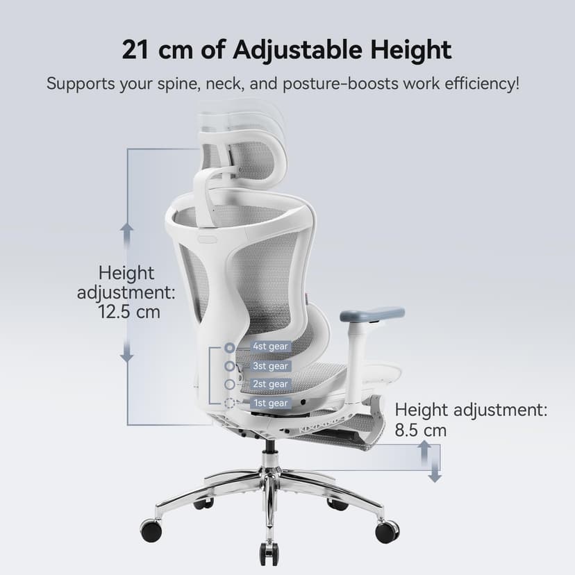 SIHOO Ergonomic Office Chair with Dynamic Lumbar Support, 3D Armrests & Adjustable Backrest, Footrest for Enhanced Comfort, Desk Chair for Home Office, Doro C300 - Black (Supports up to 150 kg) - 3