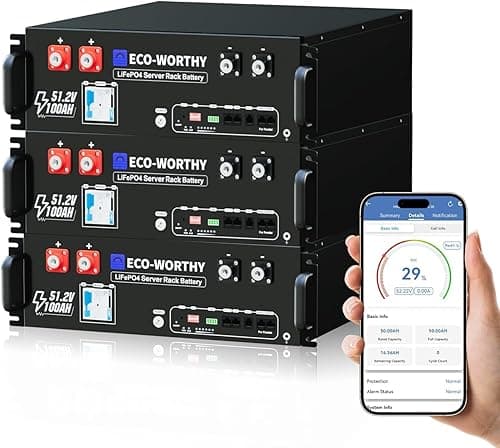 ECO-WORTHY Batterie Lithium 48V 100Ah*3 Bluetooth avec BMS 100A, LiFePO4 15,36kWh 3U pour Rack de Serveur avec Prise en Charge Can&RS485 pour système Solaire Complet, système photovoltaïque