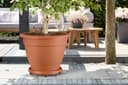 elho Universal Planttaxi 40 - Saucer for Indoor, Outdoor & Accessoiries - Ø 38.2 x H 6.5 cm - Brown/Terra - 4
