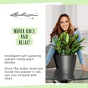 Lechuza Self Watering Plant Pot CLASSICO 43 LS Garden Flower Indoor and Outdoor Plastic Planter with Drainage Hole D43 H40 cm Red High-Gloss - 6