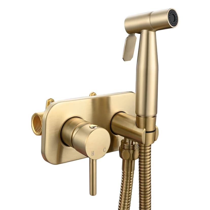 Tecmolog Bidet portable pour WC Acciaio Inossidabile Ensemble de vaporisateur à main chaude et froide Doré brossé WS024J2F2 - 1